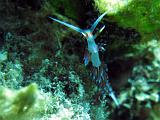 2009-09-09 10-49-31S